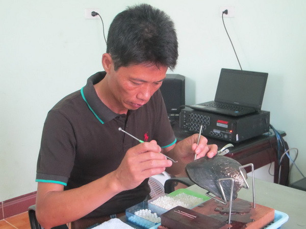 Ninh Bình thực hiện nuôi cấy thành công ngọc trai nước ngọt ảnh 1