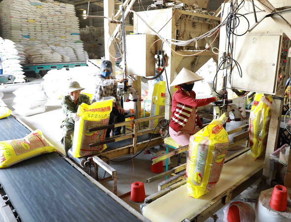 Thị trường nông sản trong nước tuần qua: Giá càphê tiếp tục giảm ảnh 1