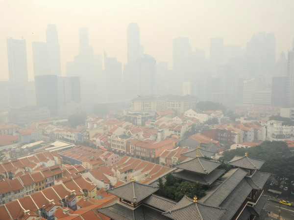 Biến đổi khí hậu có thể mang lại những cơ hội kinh doanh lớn ảnh 1