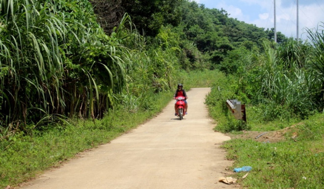 Phú Thọ: Vùng đất “Tam Cửu” đang thay da đổi thịt hàng ngày ảnh 2
