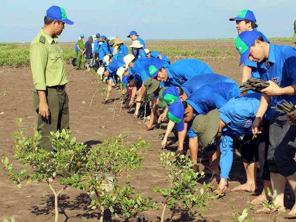 Gắn kết chặt chẽ các Bộ, ngành trong ứng phó với biến đổi khí hậu ảnh 1