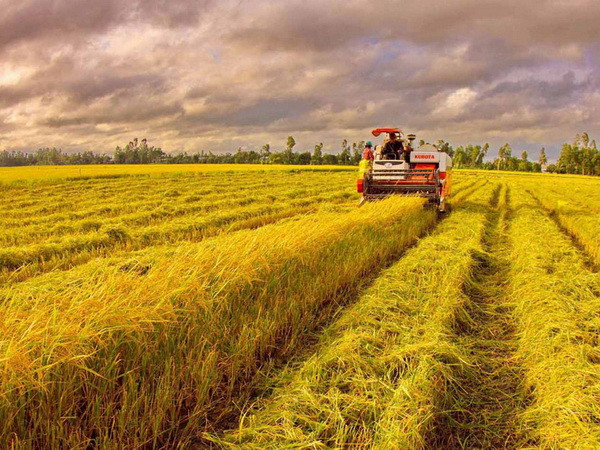 Tăng trưởng GDP chững lại trong sáu tháng đầu năm 2016 ảnh 1