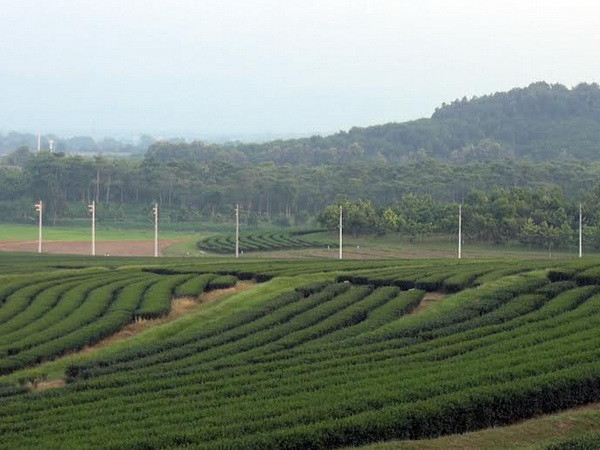 Khám phá Chiang Rai: Tam giác vàng giờ đã đổi thay thế nào? ảnh 1