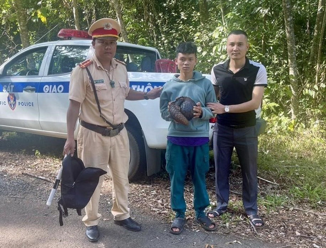 Bắt tạm giam thêm hai đối tượng liên quan vụ vận chuyển tê tê ảnh 1