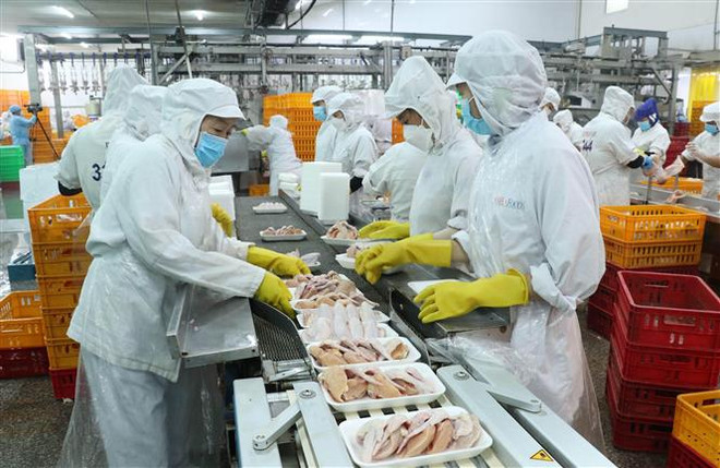 Long An phát huy tối đa tiềm lực địa phương để thu hút đầu tư ảnh 2