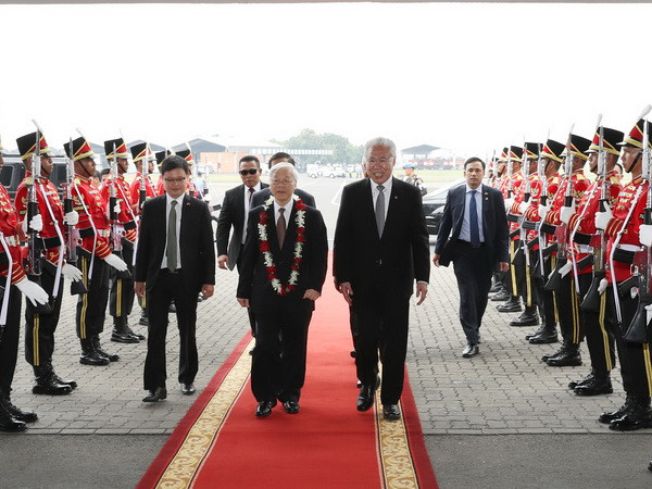 Indonesia huy động hơn 230 máy bay thả bom mưa chống cháy rừng ảnh 1