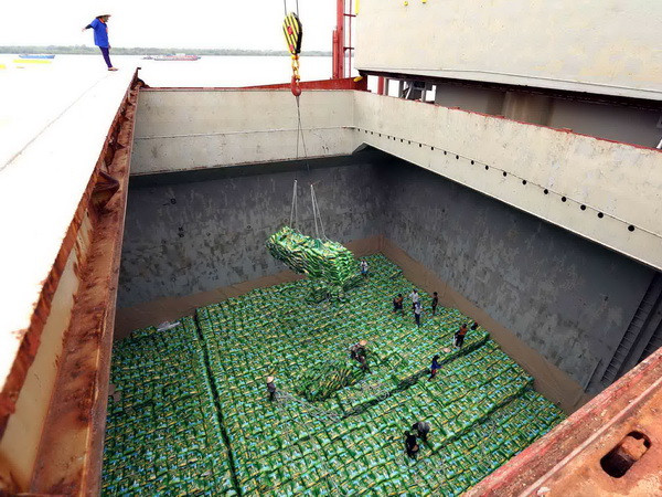 Nhiều cơ hội thúc đẩy xuất khẩu vào khu vực Trung Đông-châu Phi ảnh 2