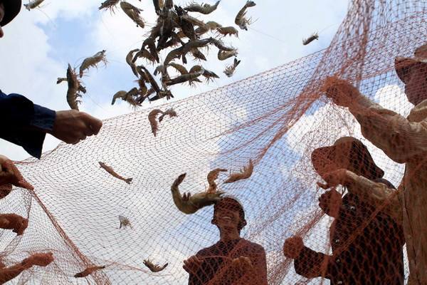 Hoàn thiện Đồ án điều chỉnh quy hoạch vùng Đồng bằng sông Cửu Long ảnh 2