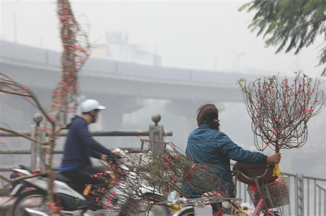 Cải thiện chất lượng không khí Hà Nội: Hợp tác 2020 và năm tiếp theo ảnh 1