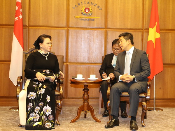 Việt Nam coi trọng phát triển quan hệ Đối tác chiến lược với Singapore ảnh 1