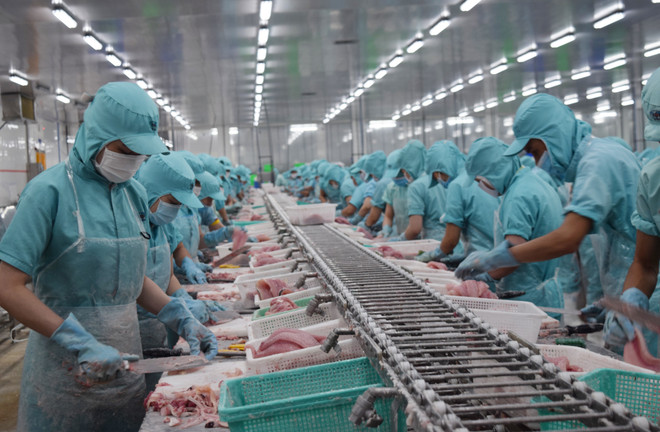 Quy trình sản xuất tại một cơ sở chế biến thủy sản của tỉnh Đồng Tháp. (Ảnh: Chương Đài/TTXVN) Nông nghiệp với vai trò trụ đỡ cho nền kinh tế Việt Nam ảnh 1