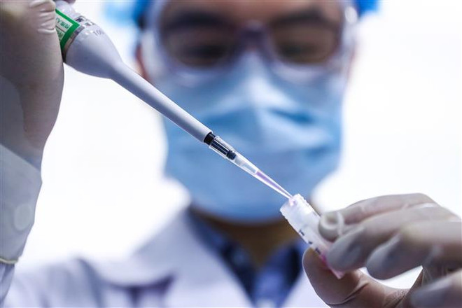  Ít nhất 15.000 người Philippines tham gia thử nghiệm vắcxin của WHO ảnh 1