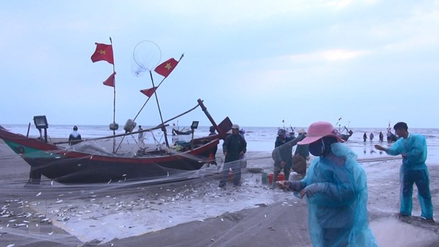 Bảo tồn là biện pháp phát triển nguồn lợi thủy sản bền vững ảnh 2