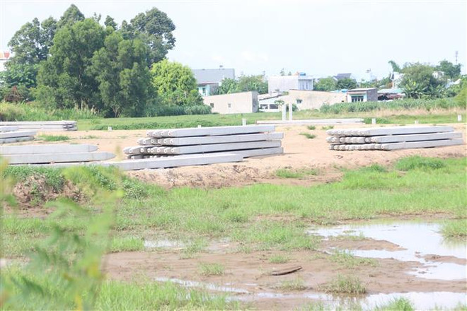 TP.HCM làm rõ trách nhiệm vụ làm giả hồ sơ dự thầu dự án trường học ảnh 1