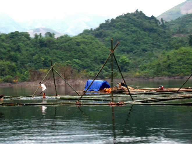 Nuôi thủy sản lồng bè trên lòng hồ thủy điện. (Ảnh: Chu Quốc Hùng/TTXVN) Tuyên Quang đầu tư 18 tỷ đồng phát triển thủy sản lòng hồ thủy điện ảnh 1