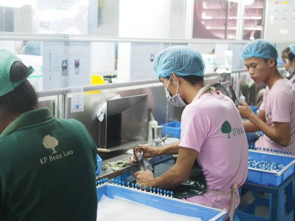 Lào là một điểm đến mới của các nhà đầu tư Nhật Bản ảnh 1