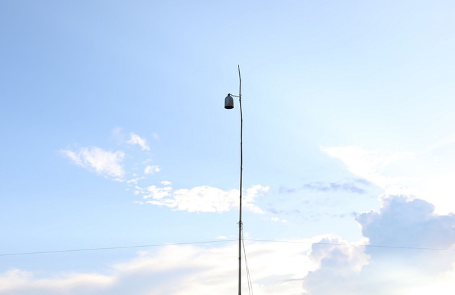 ttxvn_Nghe an giang luoi bat chim2.jpg