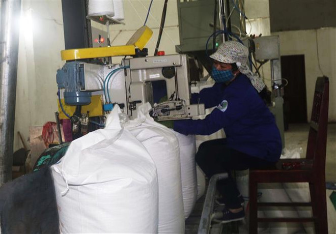 Đóng gói sản phẩm tại Nhà máy Mía đường Cao Bằng. (Ảnh: Chu Hiệu/TTXVN) Doanh nghiệp sản xuất đường hưởng lợi từ giá bán tăng ảnh 1