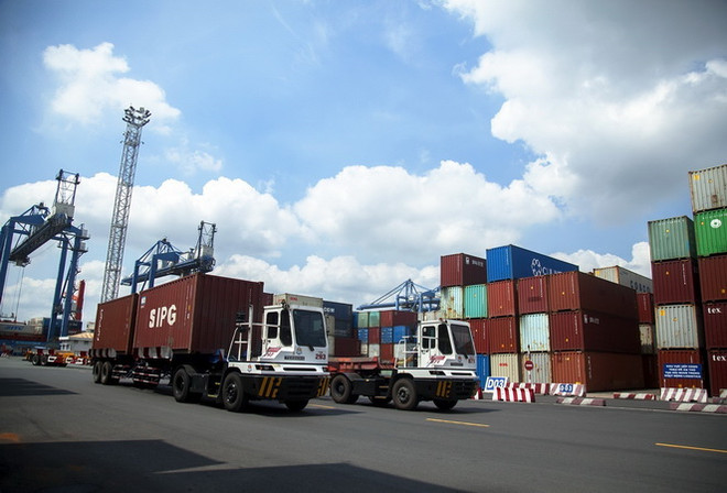 Xe chở container hoạt động tại Cảng Cát Lái, Tân Cảng Sài Gòn, thành phố Thủ Đức, Thành phố Hồ Chí Minh. (Ảnh: Hồng Đạt/TTXVN) Tổng khối lượng hàng hóa thông qua cảng biển tăng trở lại ảnh 1
