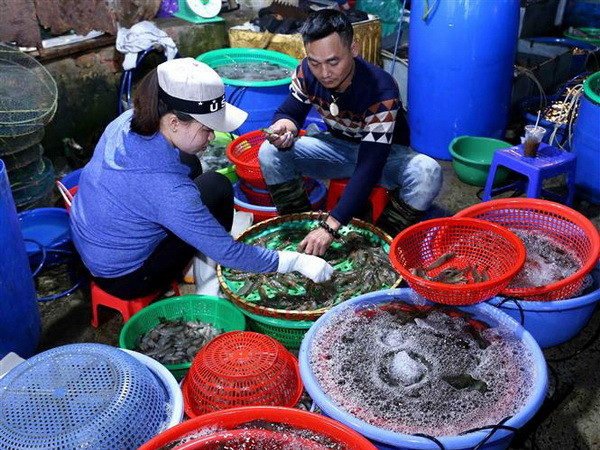 Nguồn cung hàng hóa dồi dào, duy trì ổn định thị trường sau Tết ảnh 2