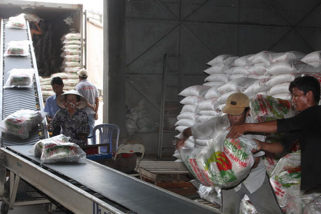 Xuất khẩu gạo 2015 của Việt Nam có khả năng đạt 6,8 triệu tấn ảnh 1