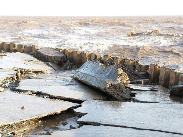 Sạt lở kè đê biển Bạc Liêu uy hiếp cuộc sống hơn 8.000 hộ dân ảnh 1