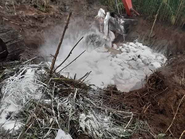 Cà Mau khẩn trương xử lý các ổ dịch tả lợn châu Phi ảnh 1