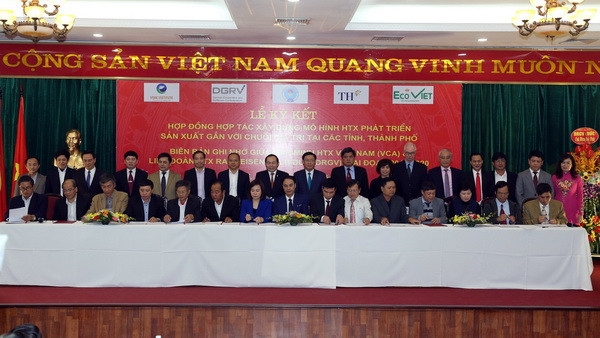 Tạo chuyển biến căn bản về số lượng và chất lượng của kinh tế tập thể ảnh 2