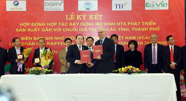 Tạo chuyển biến căn bản về số lượng và chất lượng của kinh tế tập thể ảnh 3