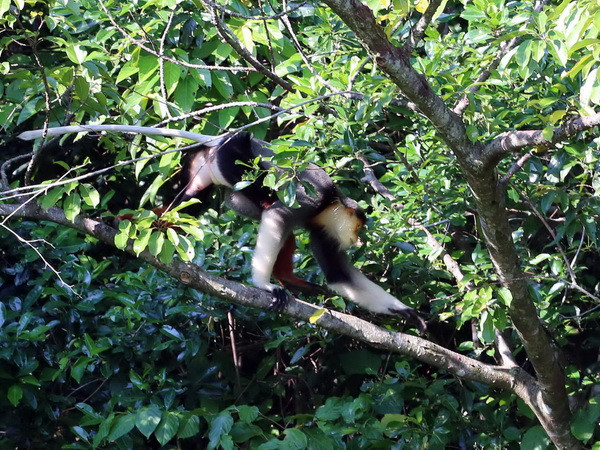 Thi thiết kế, sản xuất đồ lưu niệm, quà tặng phục vụ APEC 2017 ảnh 1