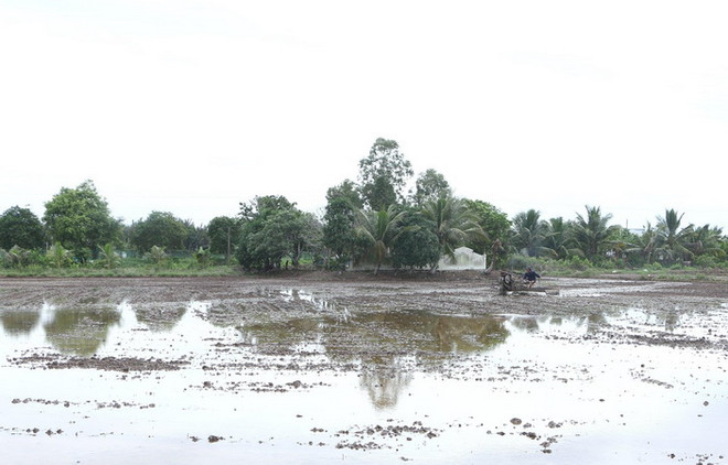 Huy động, sử dụng hiệu quả các nguồn lực phát triển vùng ĐBSCL ảnh 3