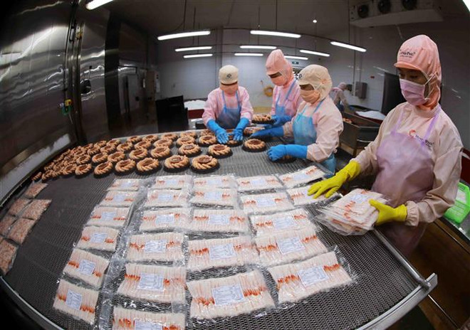 Bộ trưởng Lê Minh Hoan: Làm sâu sắc vai trò trụ đỡ của nông nghiệp ảnh 2