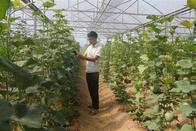 Nỗ lực bảo đảm vấn đề vệ sinh an toàn thực phẩm từ gốc ảnh 3