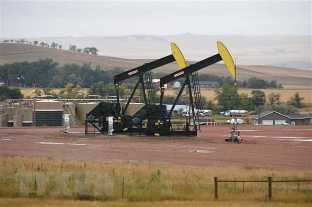 Giá dầu tăng trước cuộc họp của OPEC+ về gia hạn cắt giảm sản lượng ảnh 1