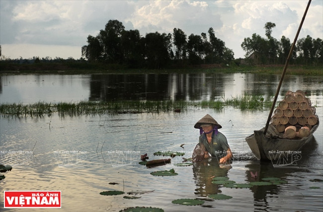 Ghé thăm làng đan lọp Thới Long tại thành phố Cần Thơ ảnh 12