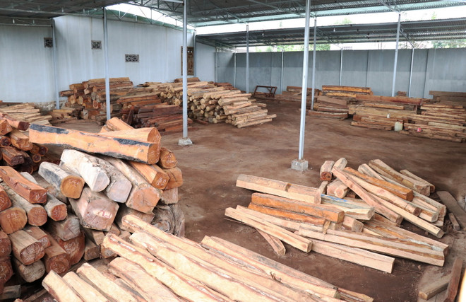 Gia Lai: Phát hiện vụ vận chuyển, tàng trữ gỗ trái phép quy mô lớn ảnh 4