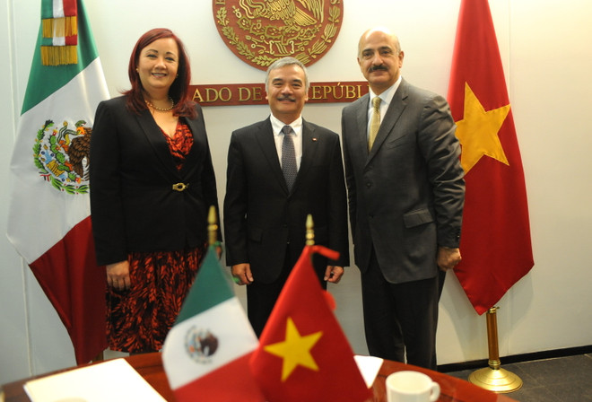 Mexico coi trọng phát triển quan hệ mọi mặt với Việt Nam ảnh 1
