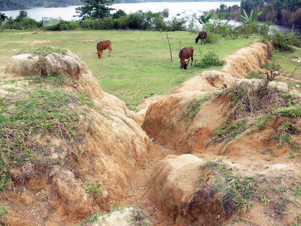 Quảng Ngãi: Bất cập sau tái định cư Hồ chứa nước Nước Trong ảnh 1