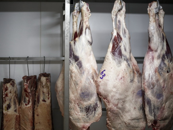 EU yêu cầu Brazil chủ động tạm ngừng xuất khẩu thịt bò ảnh 1