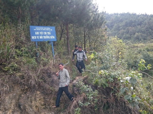 Tổ chuyên trách bảo vệ và phát triển rừng thôn bản chủ động kiểm soát và bảo vệ rừng. (Ảnh: Nguyễn Duy/TTXVN) Thu hơn 6.510 tỷ đồng từ dịch vụ môi trường rừng đến hết năm 2016 ảnh 1
