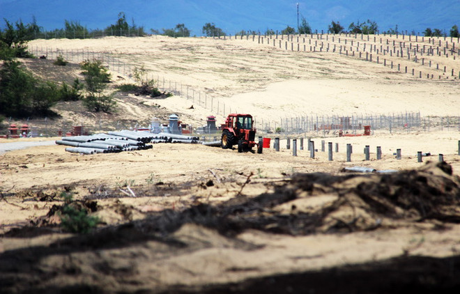 Bình Định: Khẩn trương kiểm tra, xác minh, xử lý vụ phá 5,26ha rừng ảnh 1