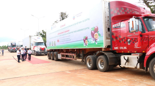 EVFTA: Tăng xuất khẩu những nhóm hàng lợi thế trong dịch COVID-19 ảnh 1