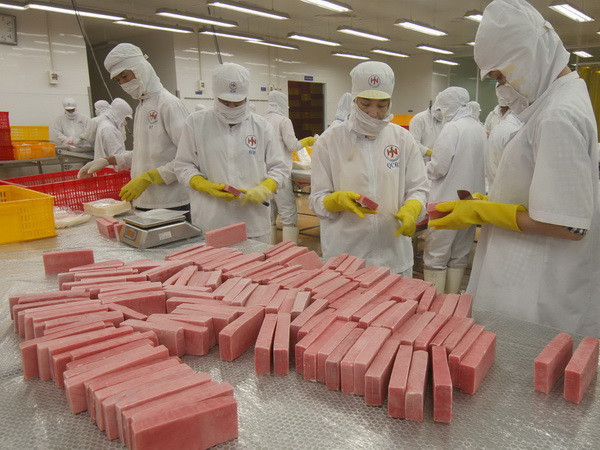 Vướng rào cản pháp lý, doanh nghiệp tư nhân vẫn khó tận dụng cơ hội ảnh 1