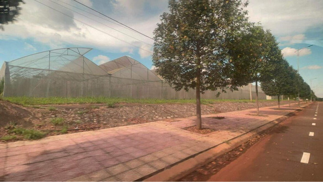 Sai phạm ở Sở Khoa học và Công nghệ Đồng Nai: Tạm giam thêm 2 bị can ảnh 1