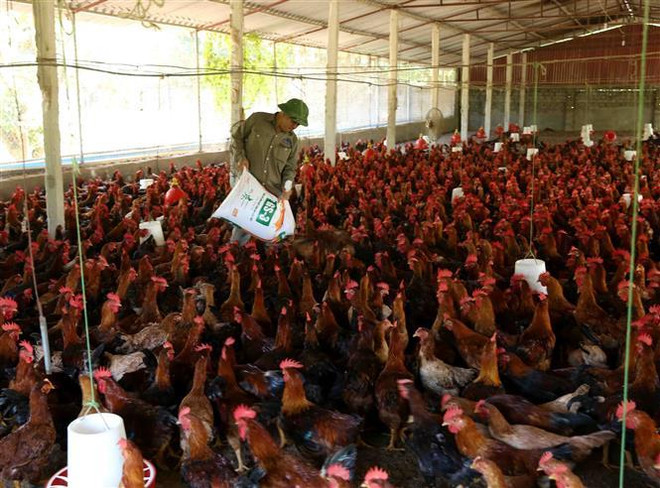 Vai trò của kinh tế tư nhân trong nền kinh tế quốc dân ảnh 1