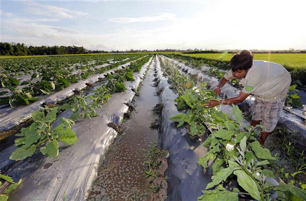 Nắm bắt cơ hội tìm kiếm động lực đột phá mới của nền kinh tế ảnh 2