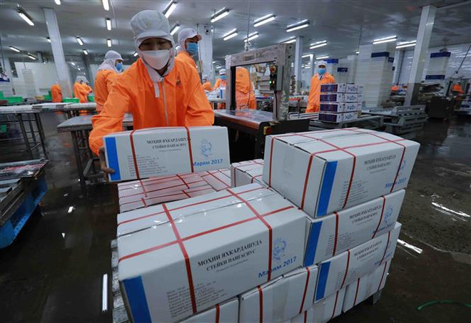 Đánh giá toàn diện, khách quan thực trạng nền kinh tế Việt Nam ảnh 1