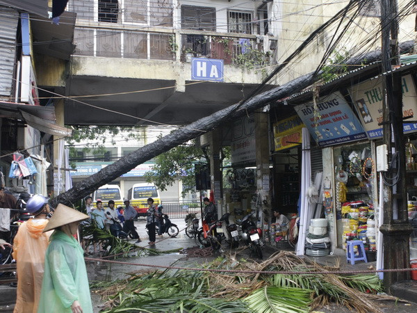 Bắc Bộ và Bắc Trung Bộ có mưa rào và dông rải rác về đêm ảnh 1