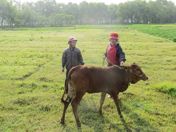 Quảng Trị: Kỷ luật khiển trách đối với tập thể Đảng ủy xã Triệu Độ ảnh 1