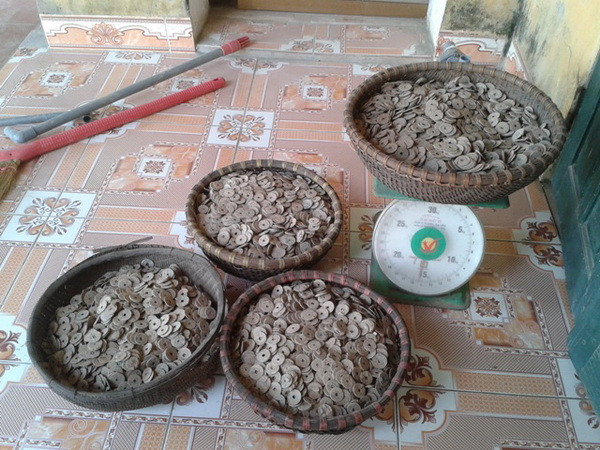 Phát hiện hơn 50kg tiền cổ khi đào đất để xây bể chứa nước ảnh 1